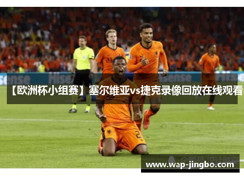 【欧洲杯小组赛】塞尔维亚vs捷克录像回放在线观看